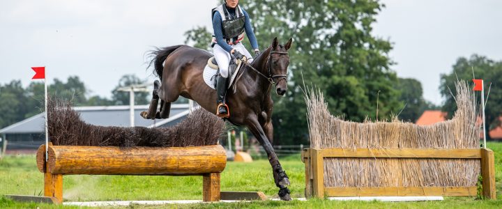 Dutch Young Horse Trials – Deel 2